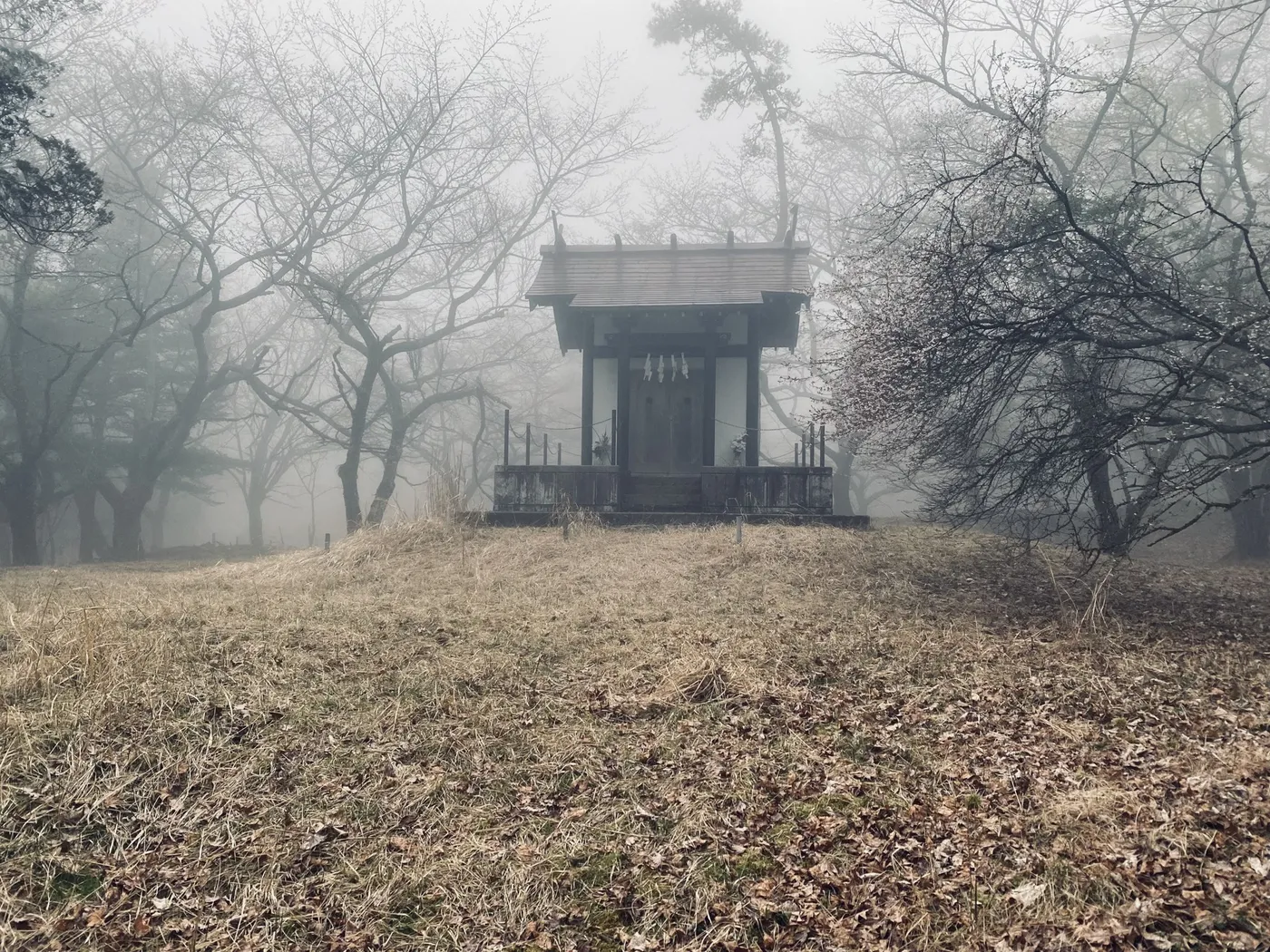 霧の中の社